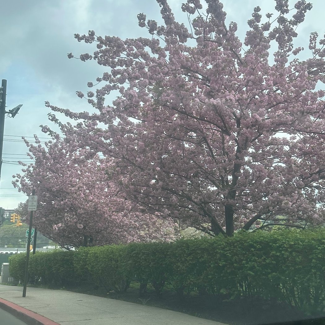 Harborside Park 3