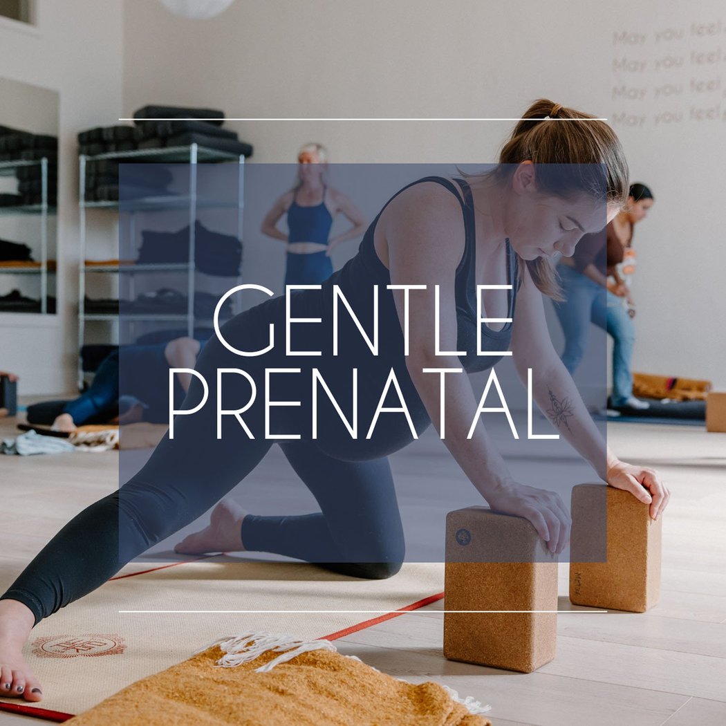 METTA YOGA - Corte Madera 2