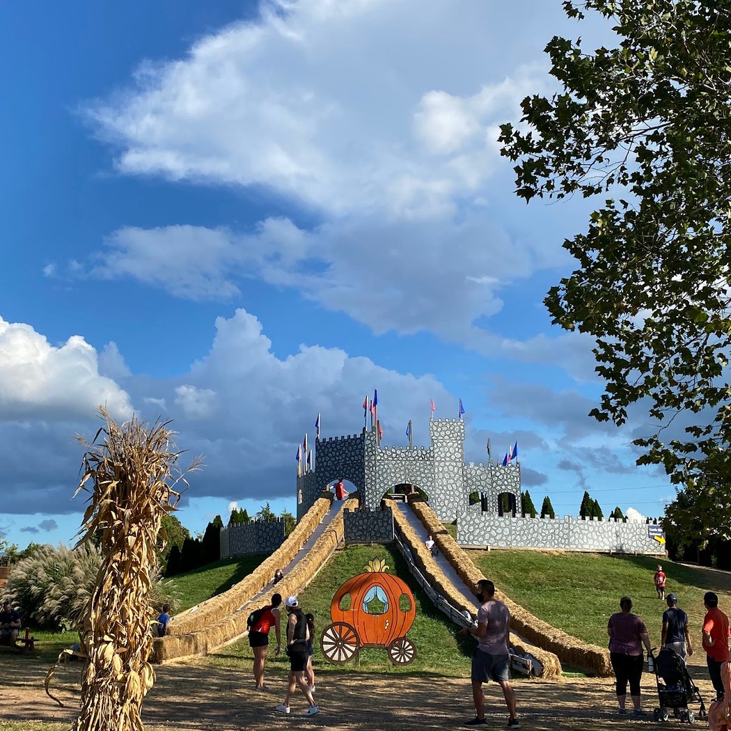 Cox Farms Fall Festival