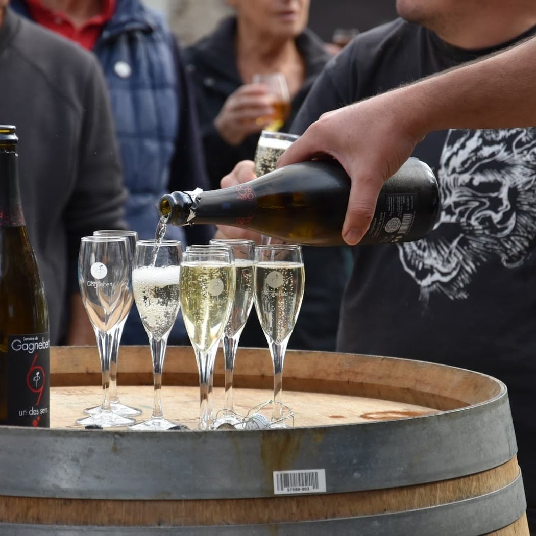 Domaine de Gagnebert, Moron (gaec) 1