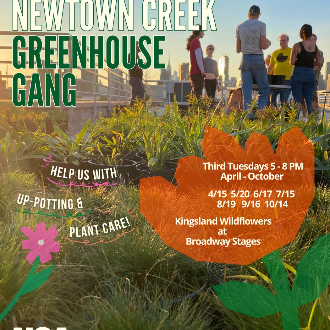 Greenhouse Gang Volunteer Series 1