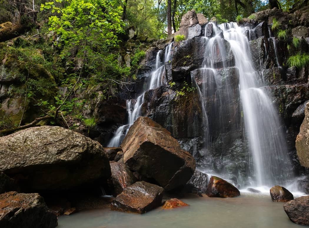 Las Posadas State Forest 2