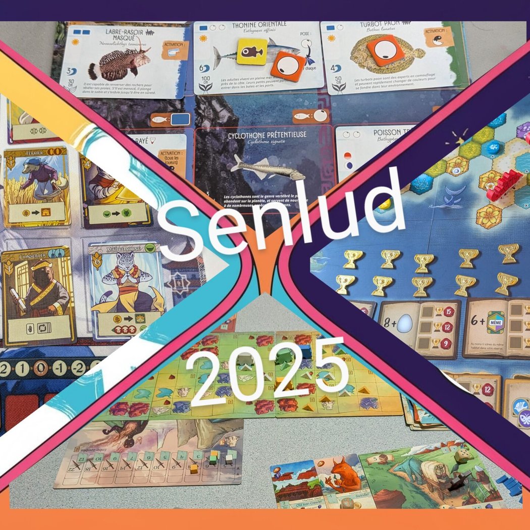 Festival de jeux de société Senlud 1