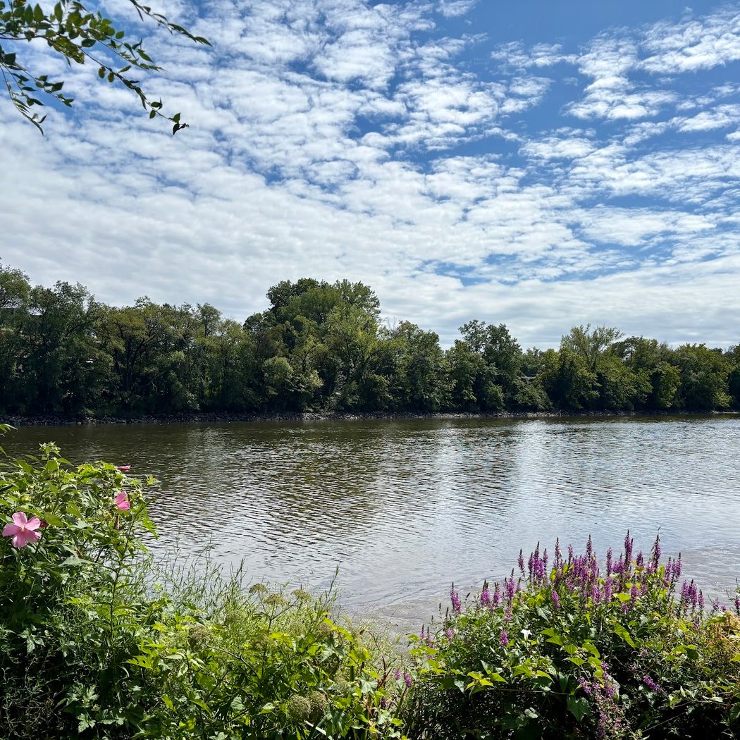 Hackensack River Pathway 1