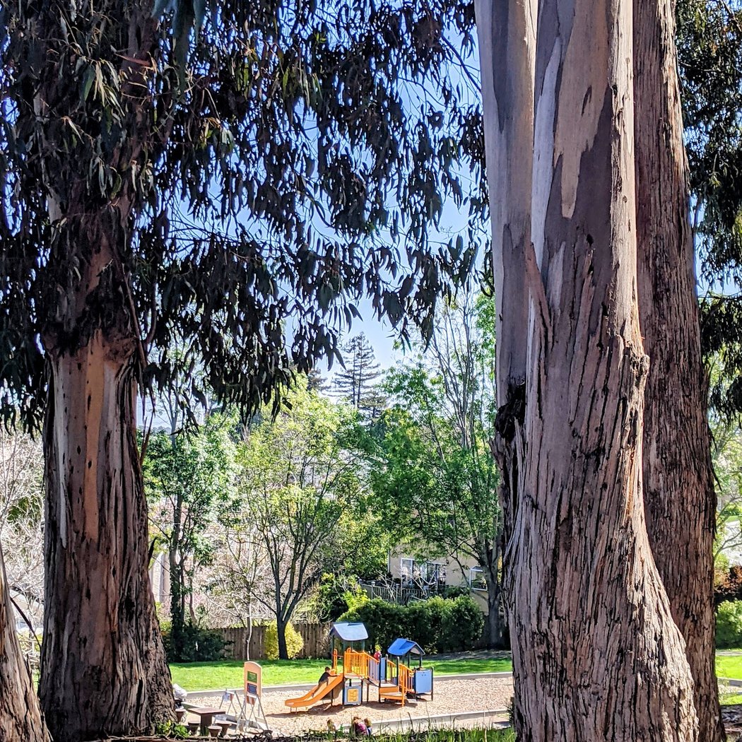 Green Hills Park 3