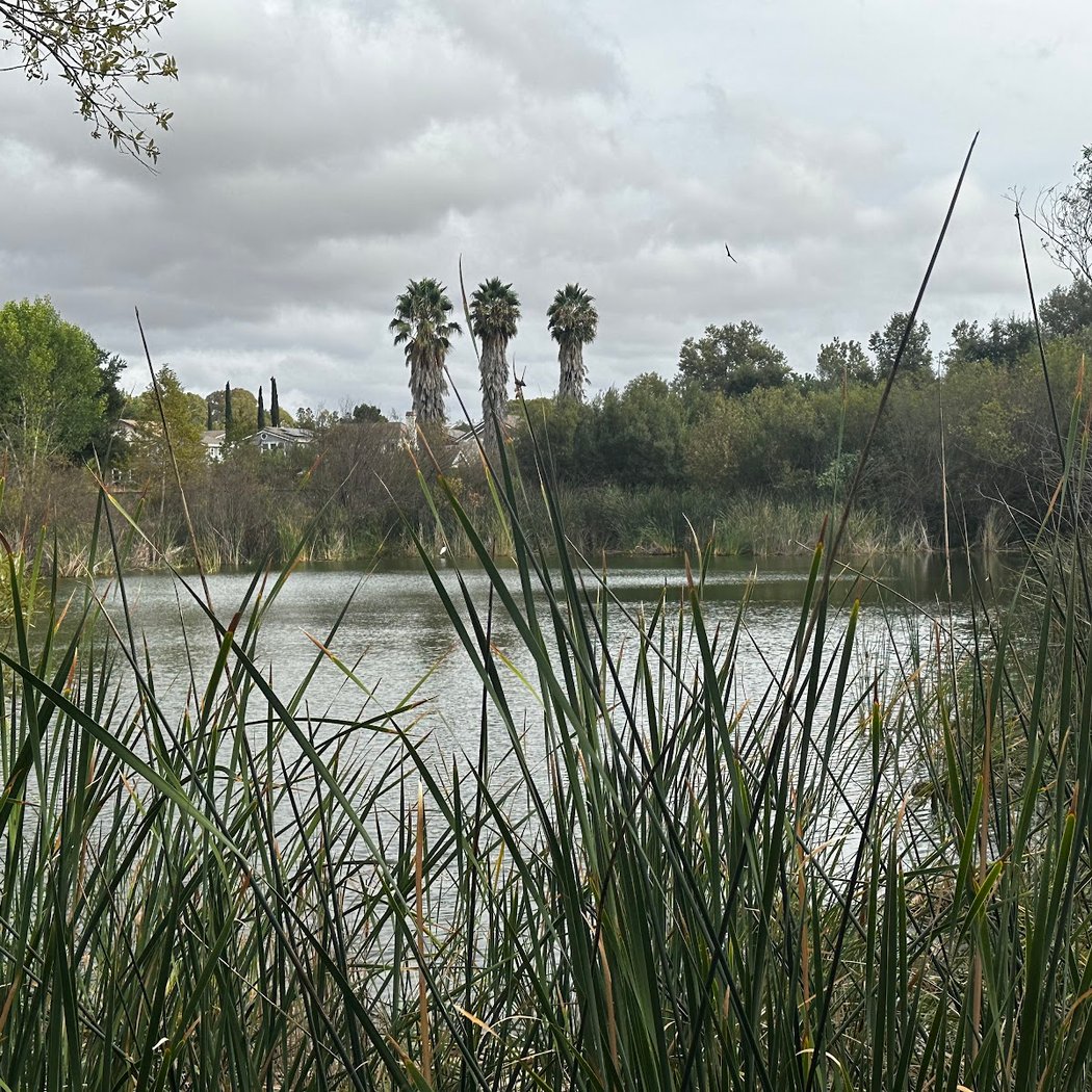 The City of Pleasanton Parks & Trails 2