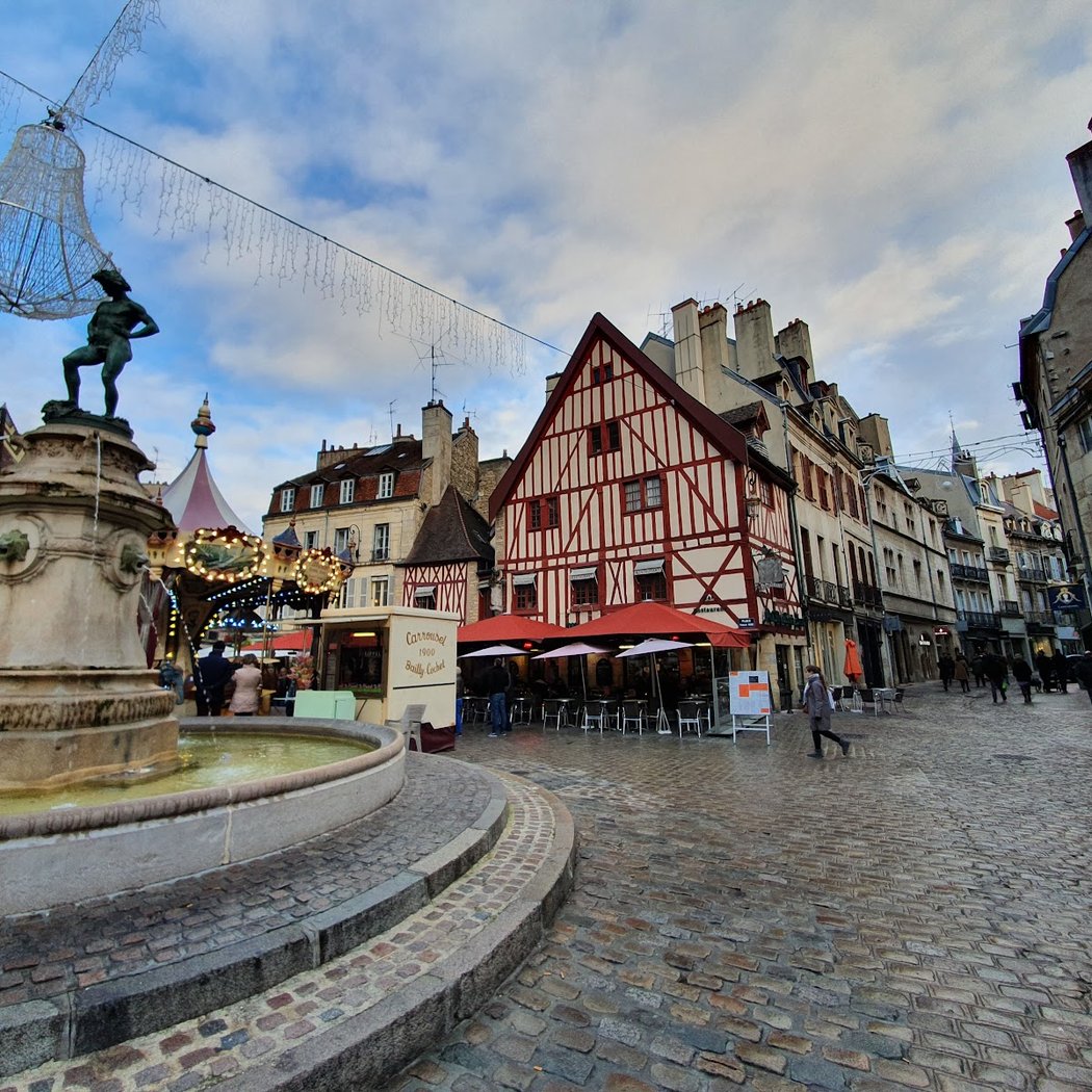 The Owl of Dijon 1