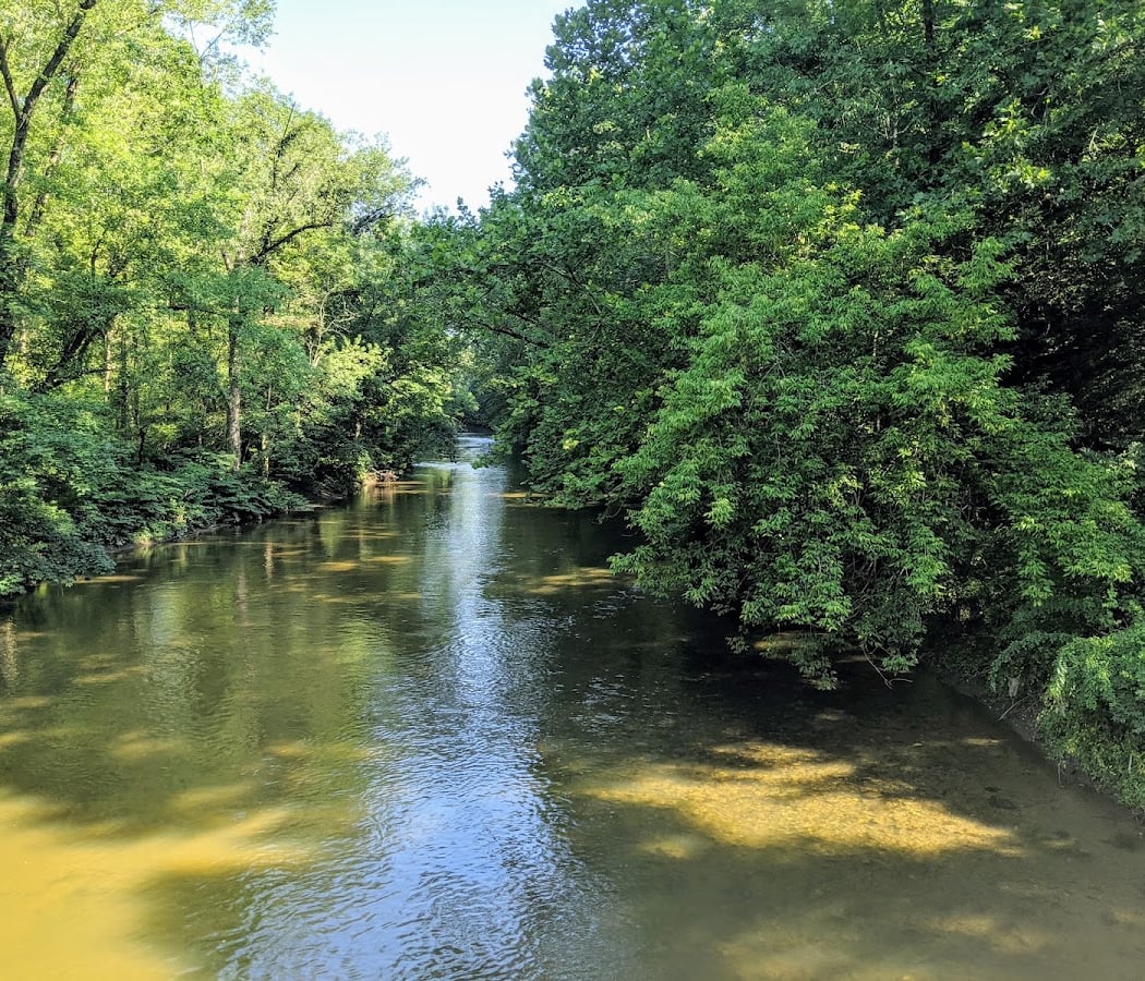 Harmony Hill Nature Area 1