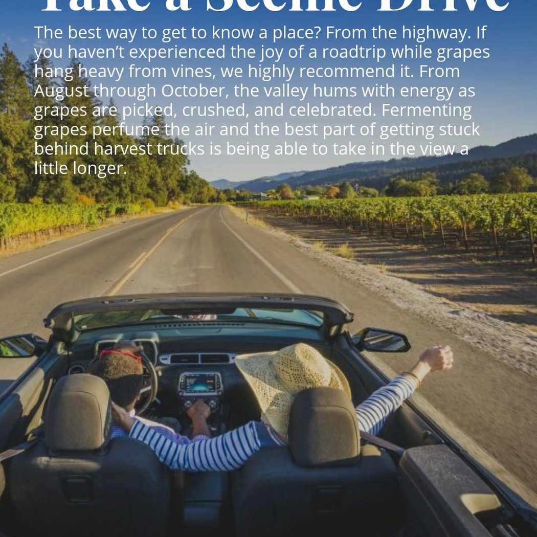 Scenic Drive 1