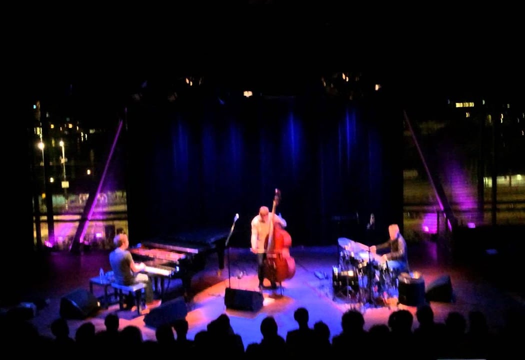 GoGo Penguin 3