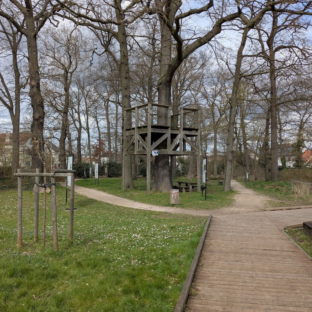 Parc Faure 1