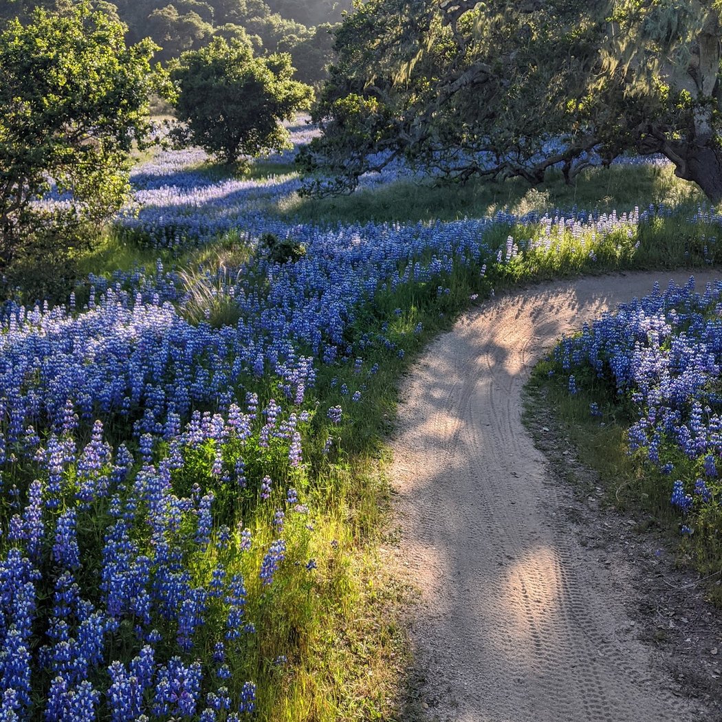 Fort Ord National Monument 1