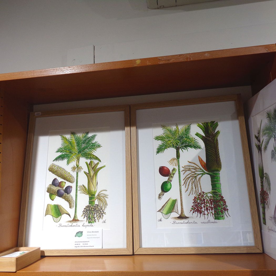 Librairie Caledo Livres 2