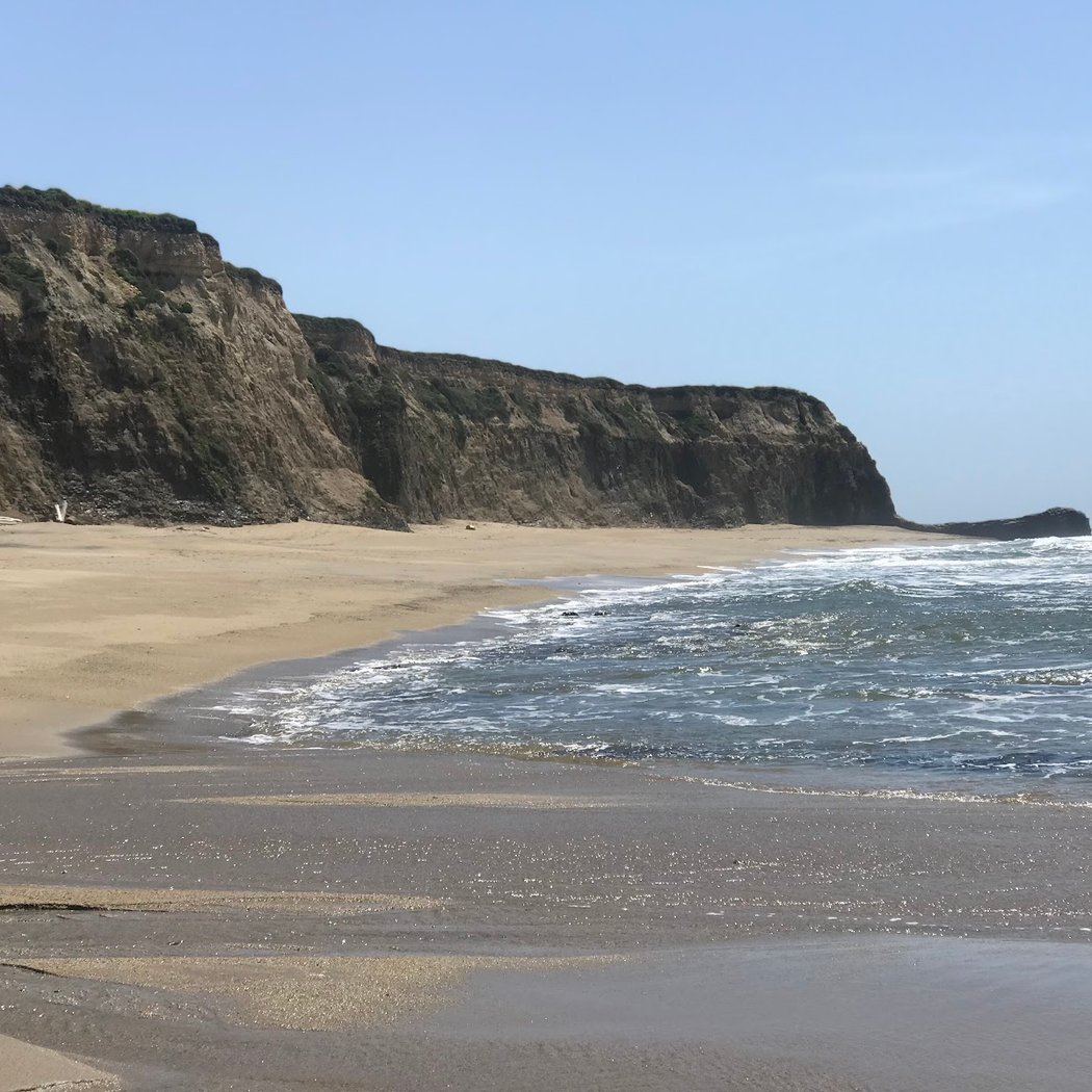 Scott Creek Beach 2