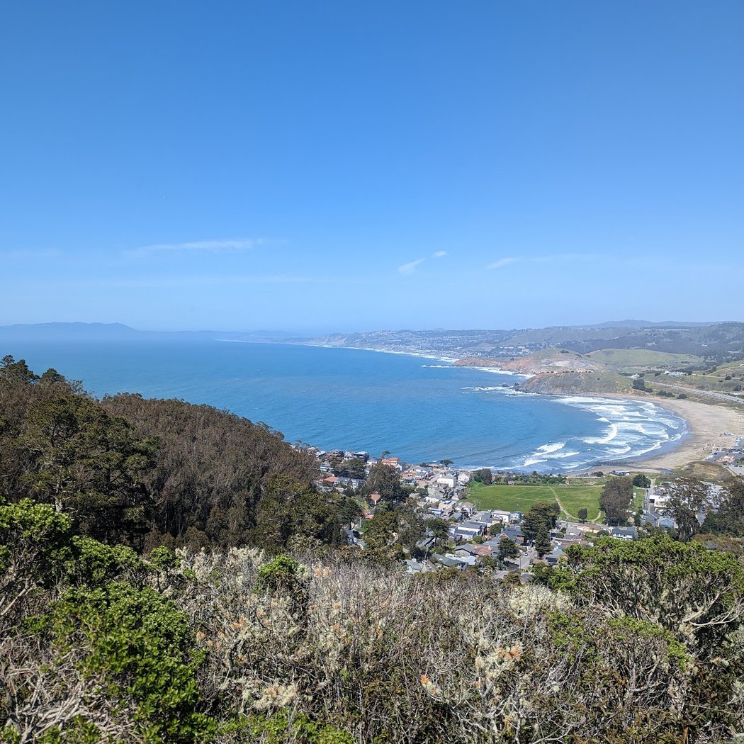 Pedro Point Headlands Stewardship Volunteer Project 2