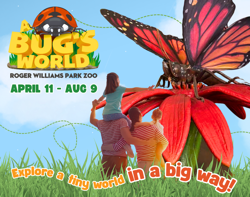 A Bug's World 1