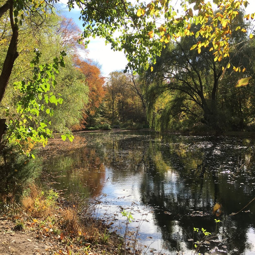 Thielke Arboretum 3