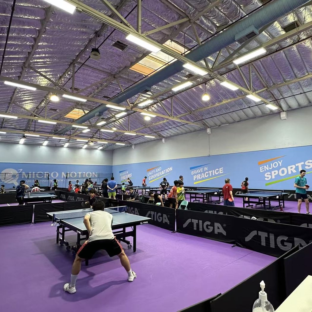 Micro Motion Table Tennis Academy (Alameda) 1