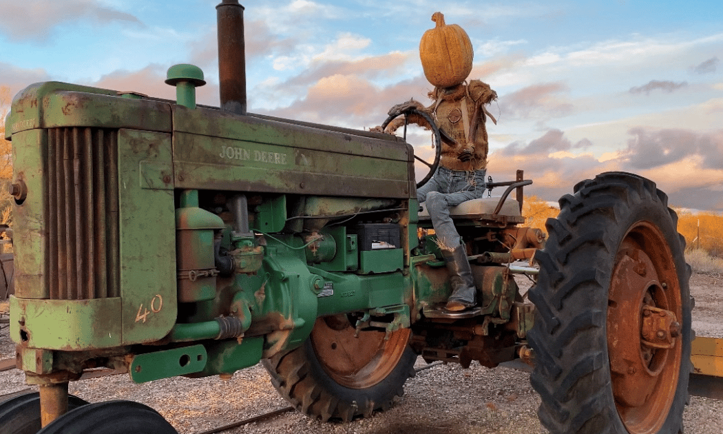 The Great Gilbert Gourd Hunt 2