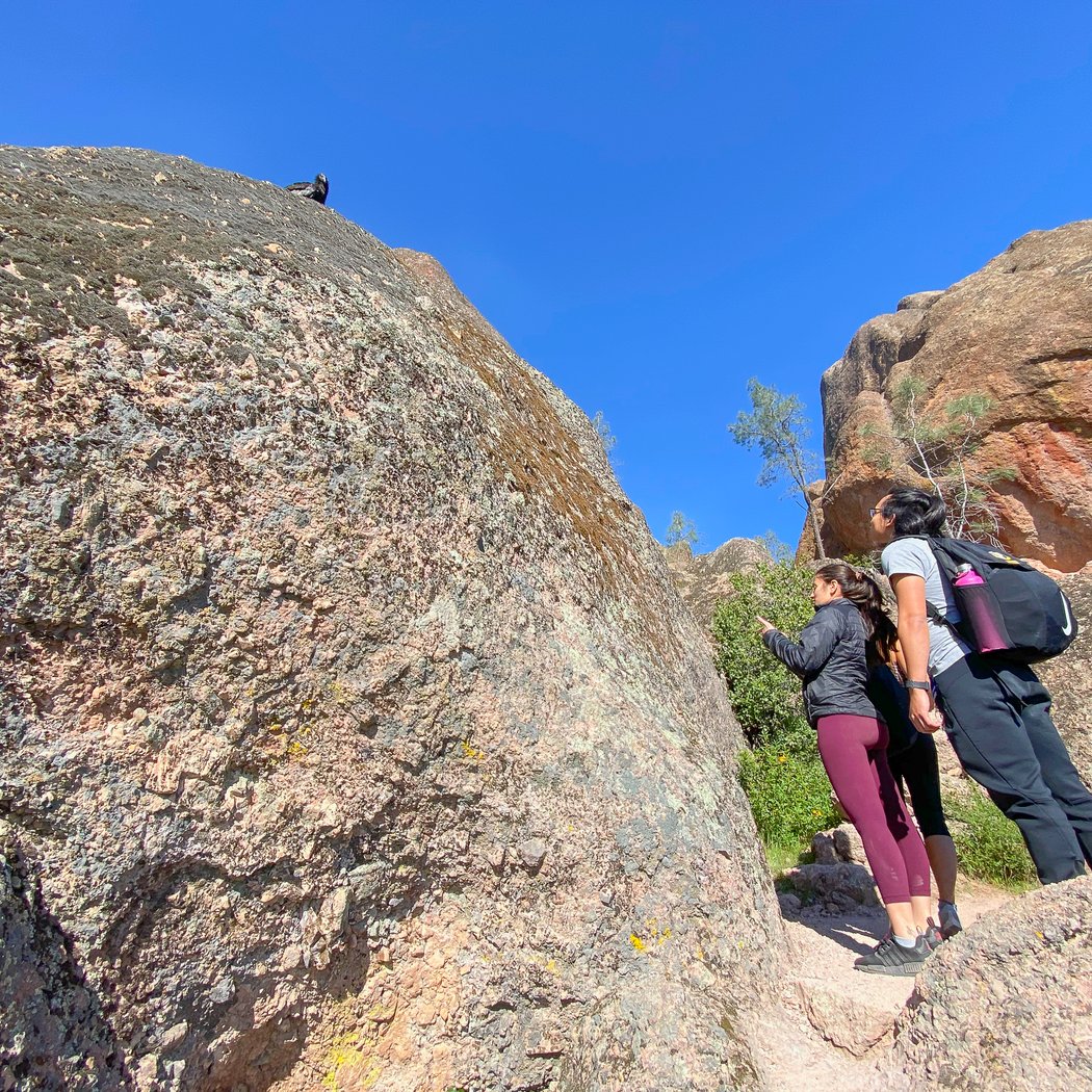 Pinnacles National Park 3