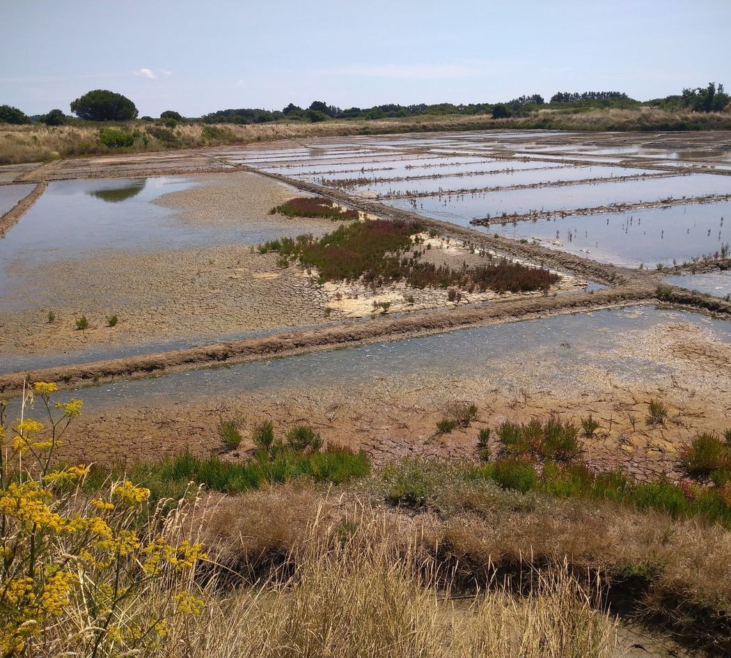 Terre de Sel 2