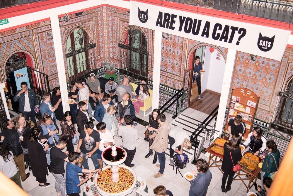 Cats Hostel Madrid Sol