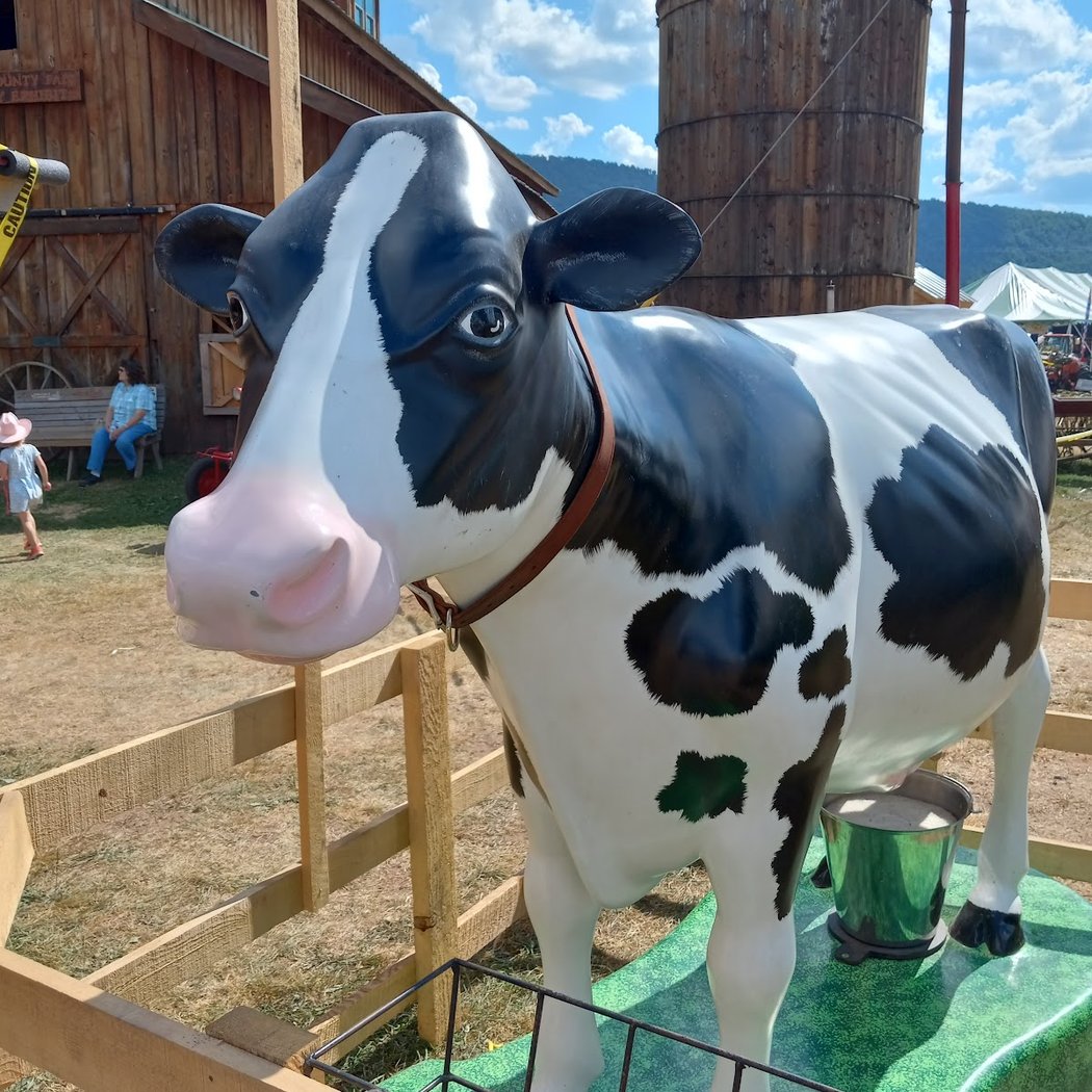 Delaware County Fair 3