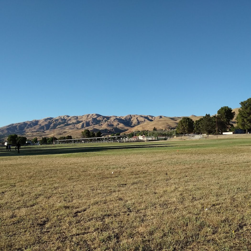 Indus Cricket Club and Academy 2
