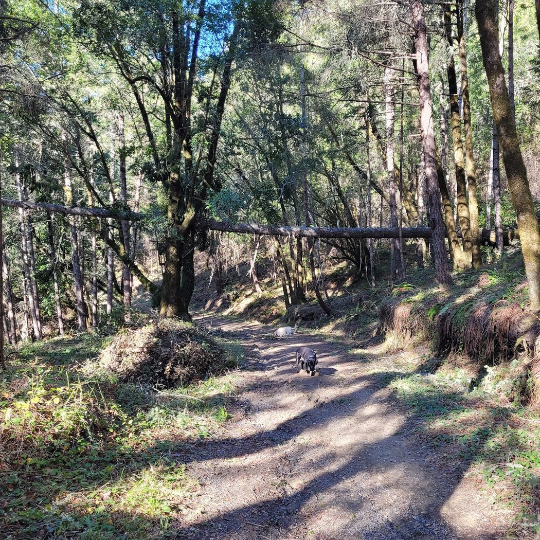 Sonoma Coast State Park — Willow Creek Addition 3