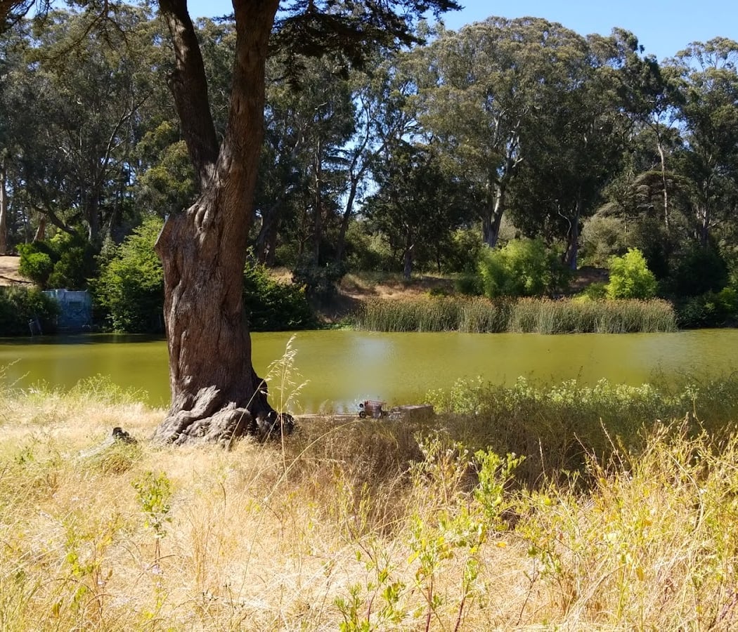 Elk Glen Picnic Area 2