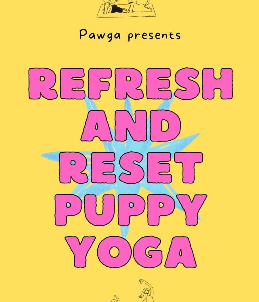 Pawga's Refresh and Reset Puppy Yoga