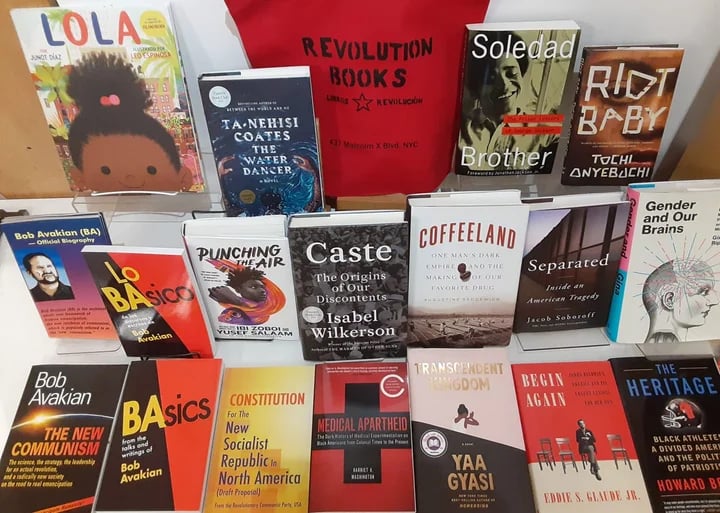 Revolution Books 1