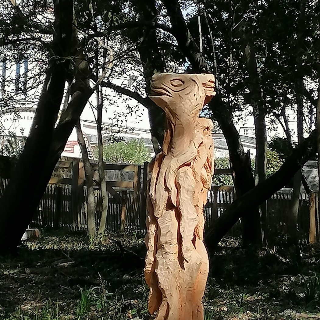 Evens Woods 3