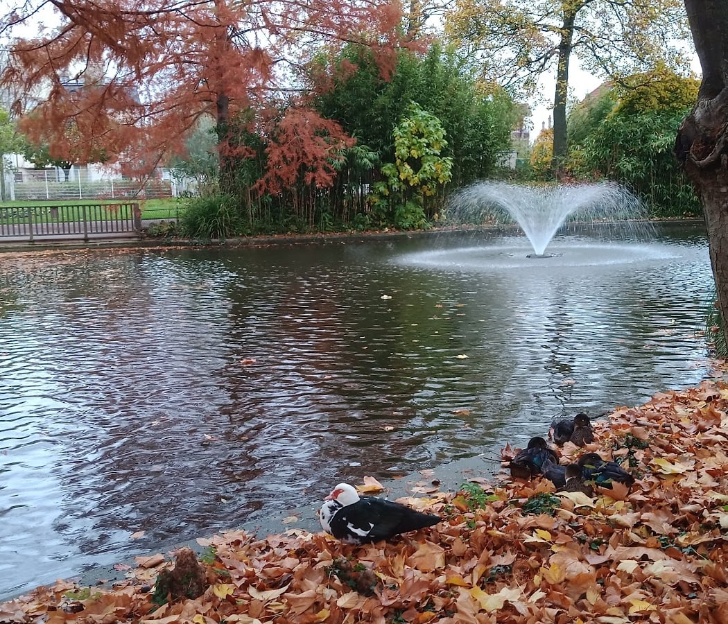 Parc Gainville 4