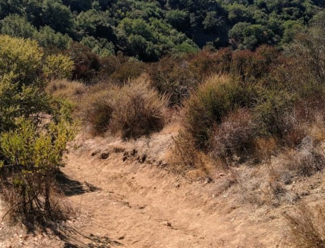 Las Trampas Wilderness Regional Preserve 2