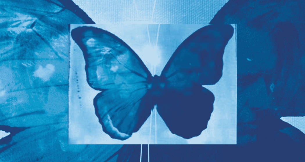 An Evening With... BlueMorpho 2