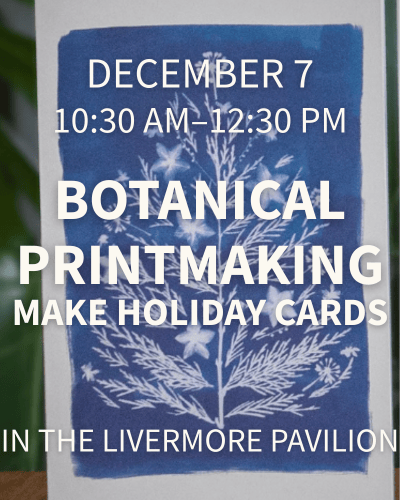 Botanical Printmaking 1