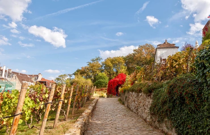 La Commanderie du Clos Montmartre 1