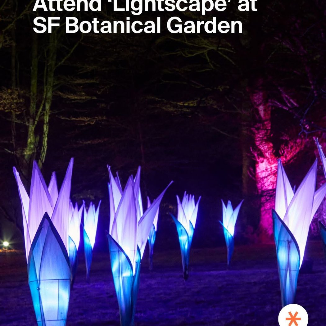 Lightscape 1