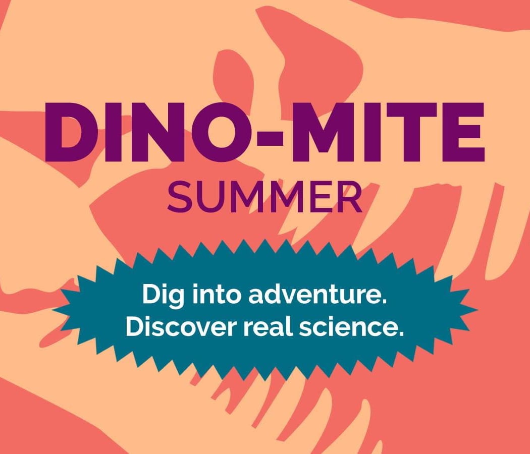 Dino-Mite Summer 1