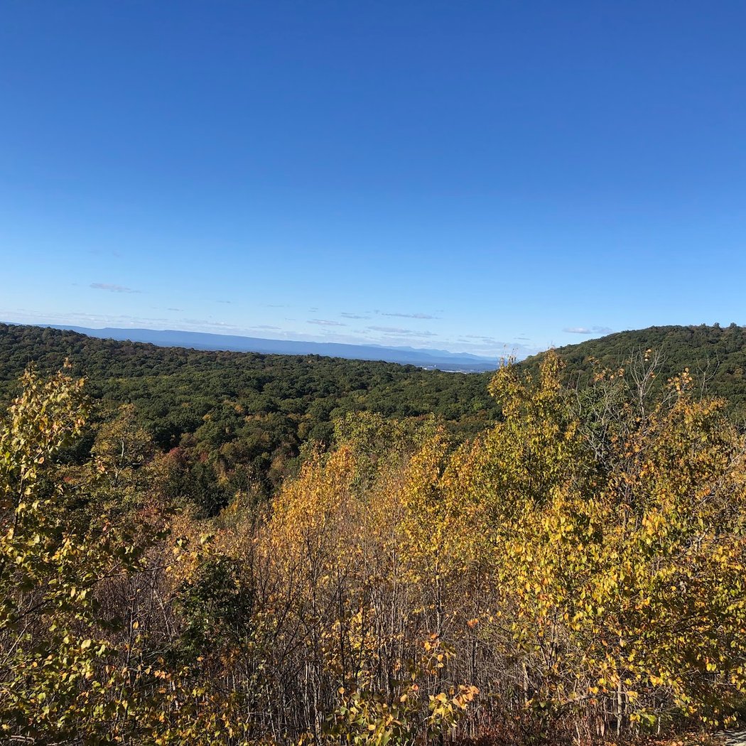 Black Rock - Mineral Springs Hiking trail 1