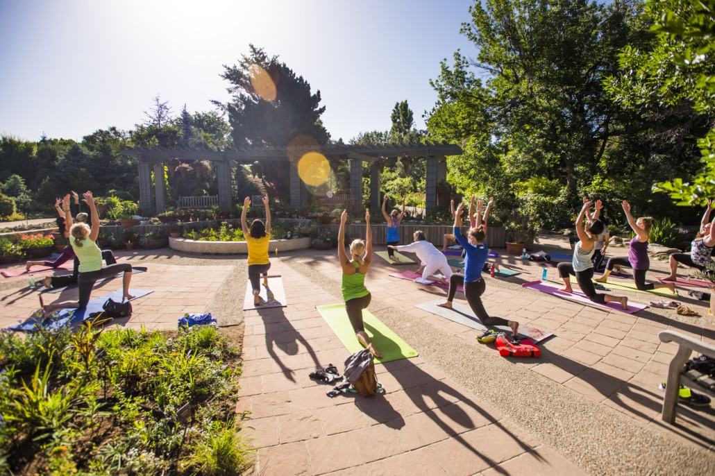 Sunrise Vinyasa Yoga at the Gardens 1