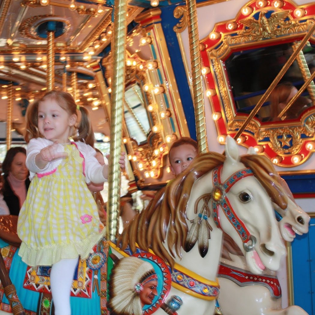 Jumps N' Jiggles Indoor Playground & Carousel 1