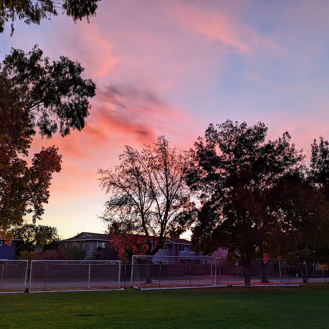 Stevenson School Field 2