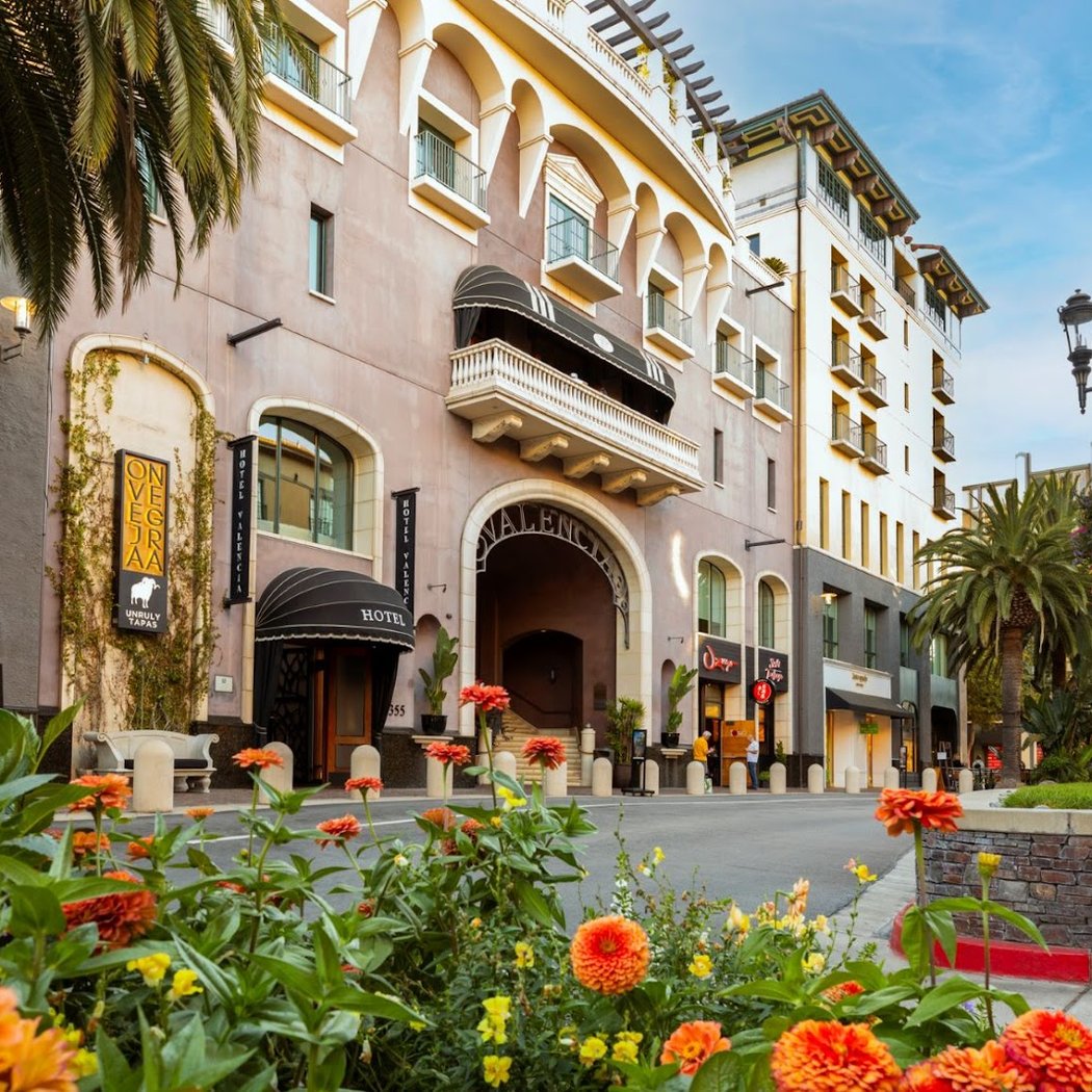 San Jose Half Marathon & 8K 1
