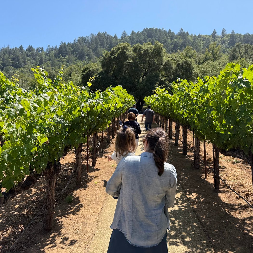 Staglin Family Vineyard 3