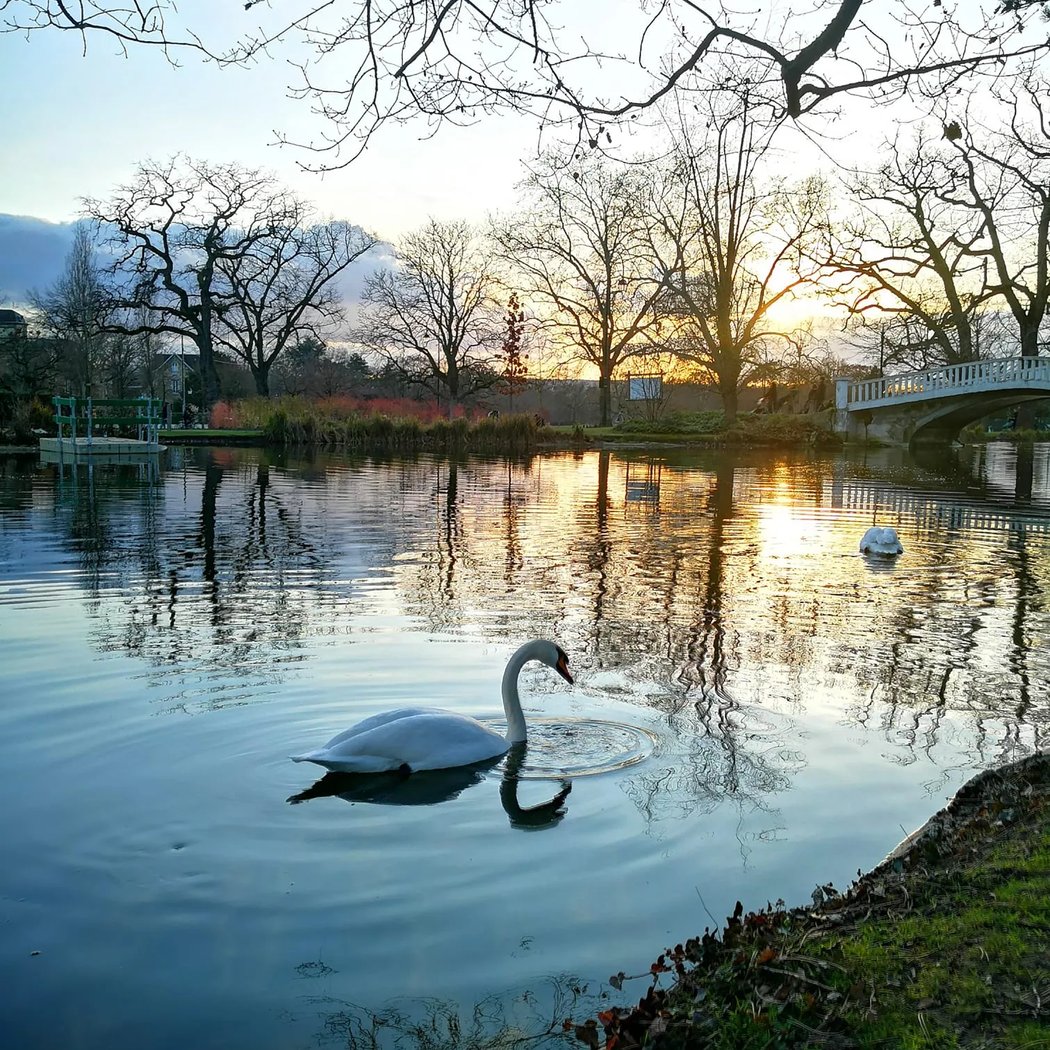 Grand Lac des Ibis 1