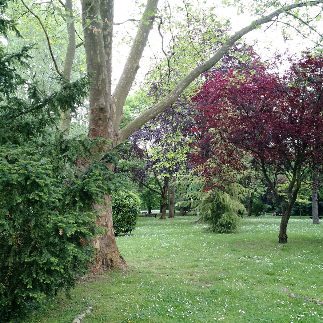 Parc Saint Jean-Paul ll 3