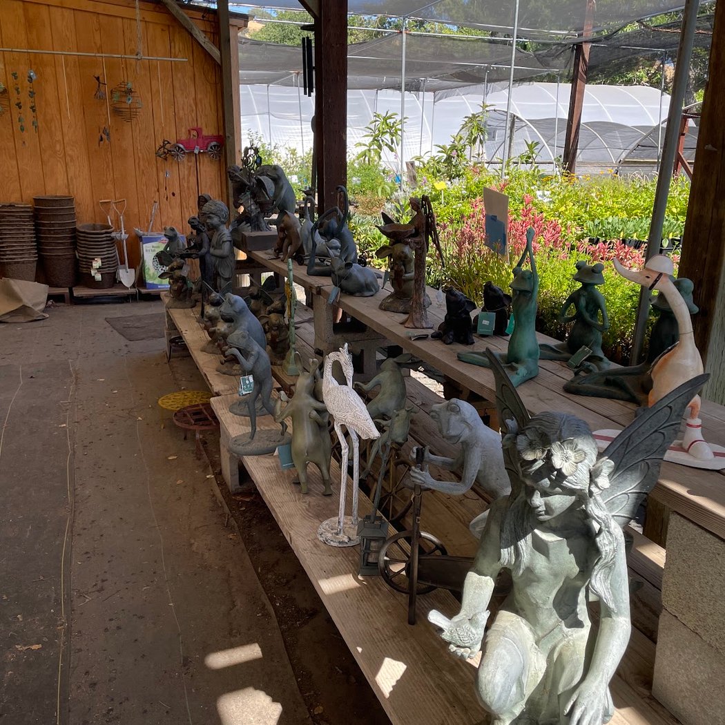 Morningsun Herb Farm 3