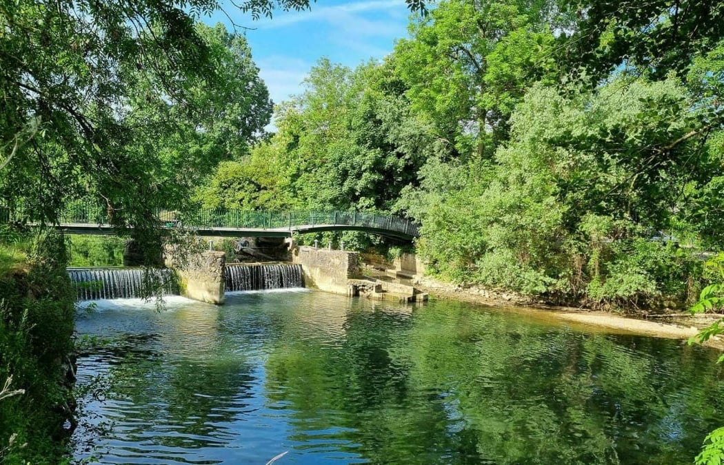 Bords de l'Yerres 1